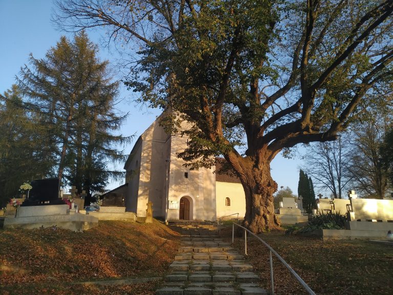 P1167925.JPG