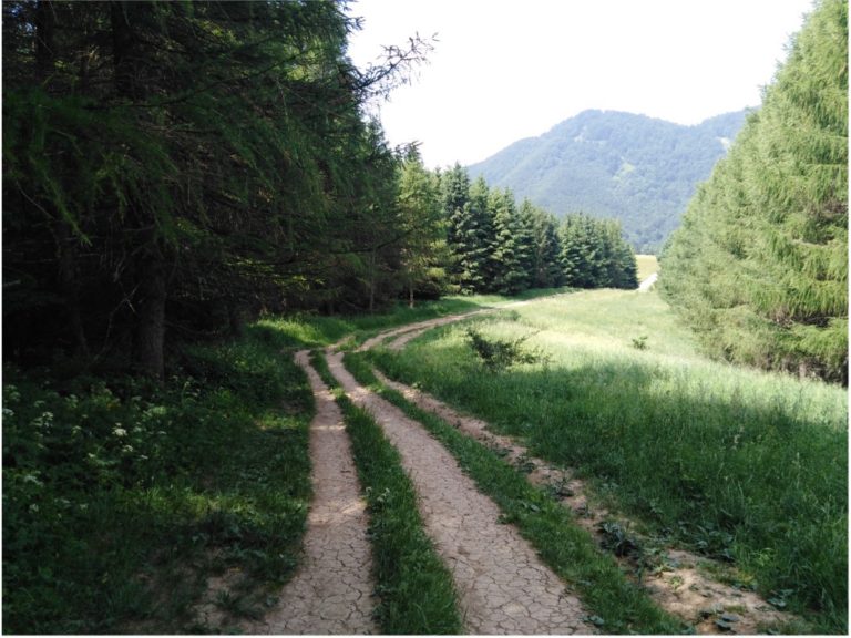 teraz