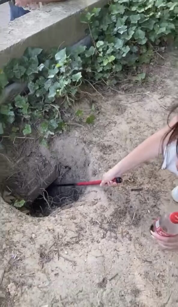 Perfektný zásah! Až na to, že jamka pre žaby nie je súčasťou hracieho plánu. Autorka: Vanessa Parašínová